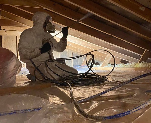Mold Remediation - Tampa Bay, Florida