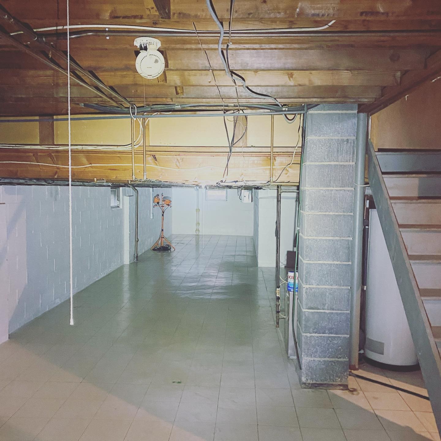 Mold Proofing, Walls, Ceiling and Wood Framing