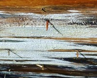 Rusted nails are a sign of water damage